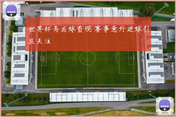 世界杯乌龙球首现 赛事意外进球引发关注