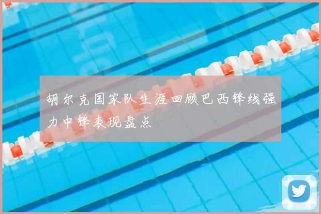 胡尔克国家队生涯回顾巴西锋线强力中锋表现盘点
