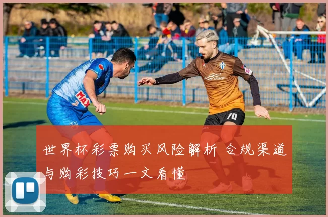 世界杯彩票购买风险解析 合规渠道与购彩技巧一文看懂